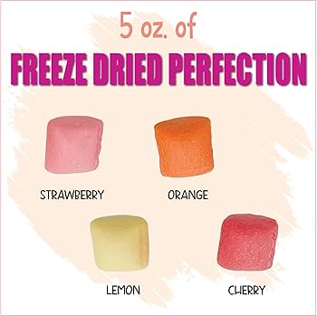 Amazon.com : Freeze Dried Fruit Bursts Candy - Mini Original Hard